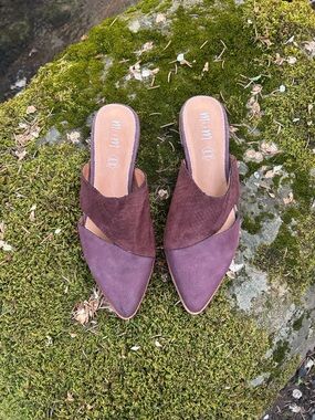 MiMi Two-Tone Pointed Mule